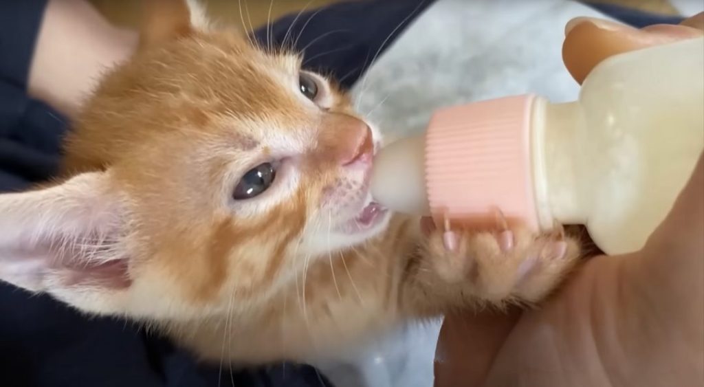 491d1bfb1fff3d8bee04778db7c82ce1