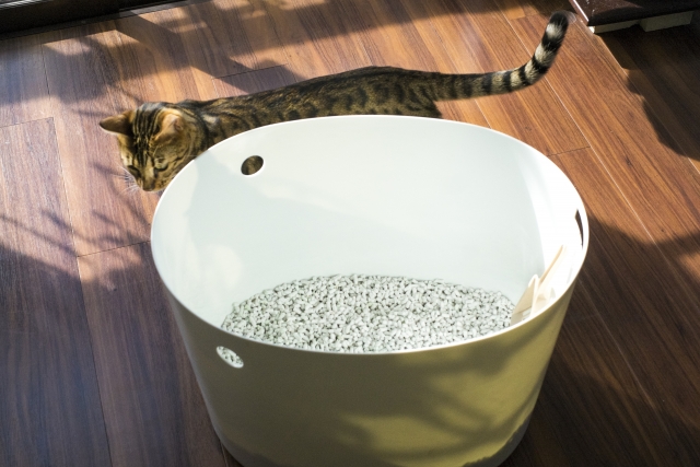 f92e9e223cf943dce551b9b5c2937e03