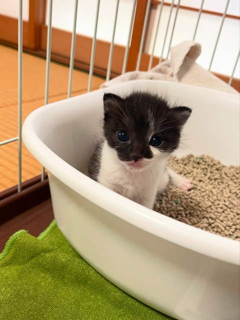 003a40c114fe281f0fa8cd2b78b8cf39