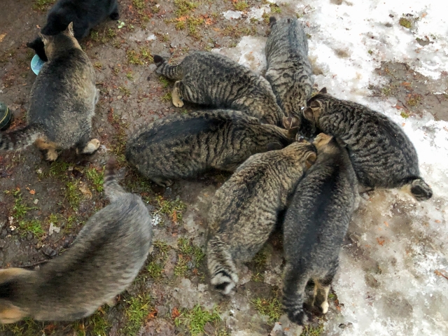 4637cad0a6c6bd1612f6dc45fb0bd339