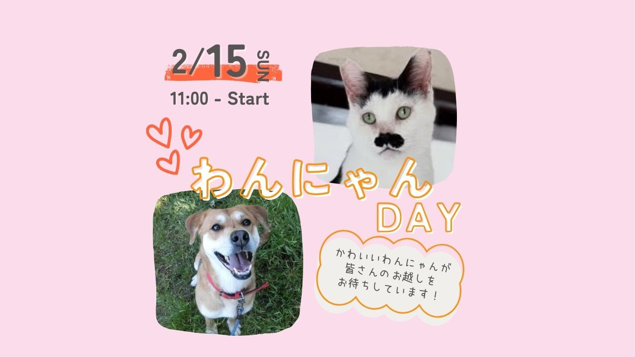 ca99199202796ccc8e194f94bf8281b7