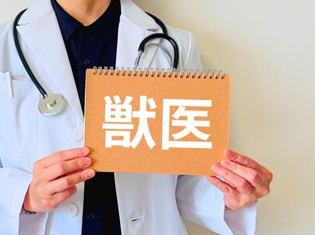 a7cd1da0ba5e664d6663bfe882603e2f