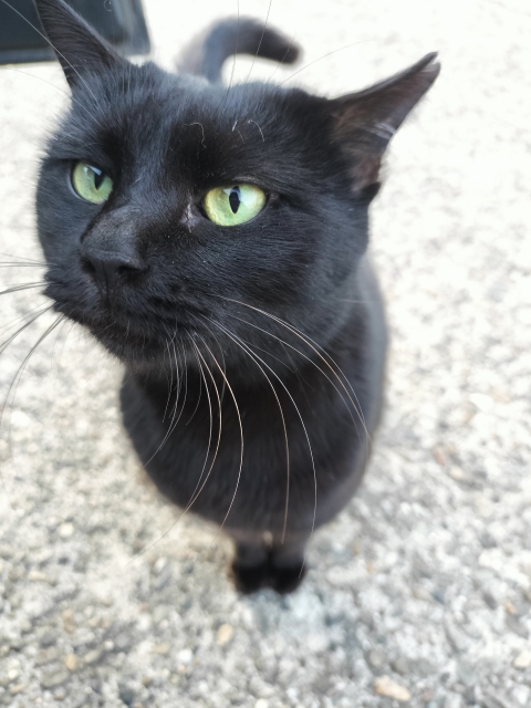 ce6d2ddef396acbd685a23b37ca750e6