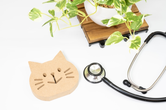 6c38a2438df48ebf0571c59de0fa8a58