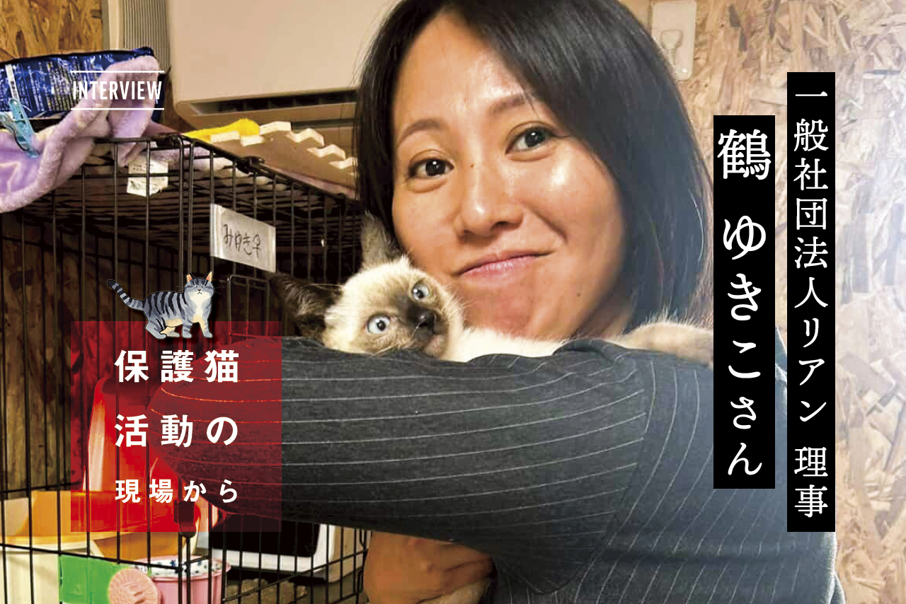 2026 01 interview banner