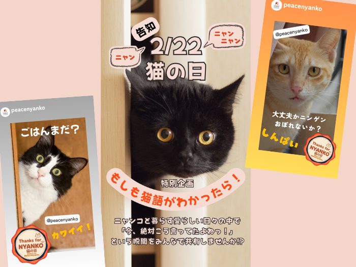 b240d60645de785cd28c94408215b614