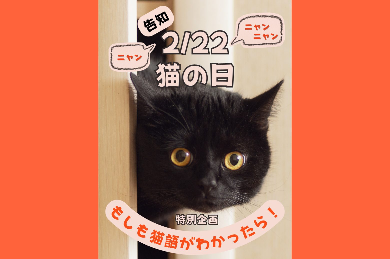 【2月22日猫の日企画】インスタグラム投稿「もしも猫語がわかったら?」 7 c204a9d90e7a5af2195bc6c16da2a7dc