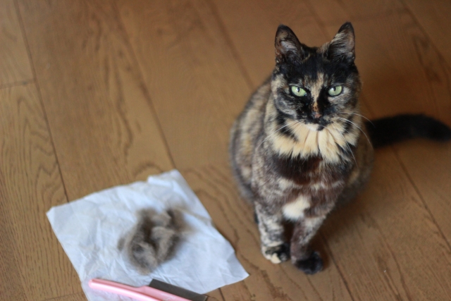 3c9299ebc33875539d49111b7d6db48e