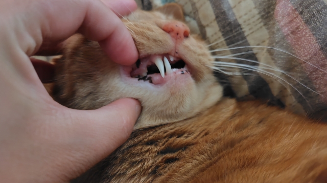 3132726522c74b7fce2089bb42bc2e96