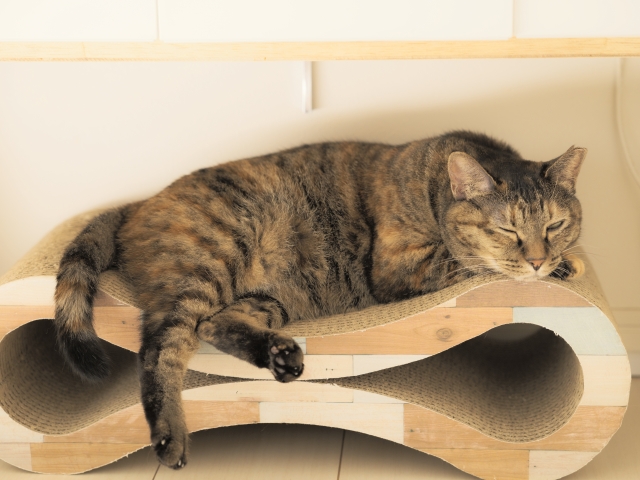 a7dbee4f8163548d2b5f9ec2a684fcfd