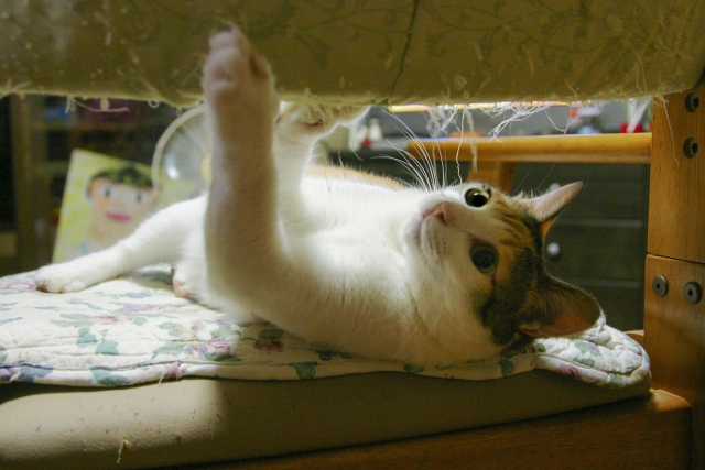 82006d9a31c9aa3b81149120a083ea27