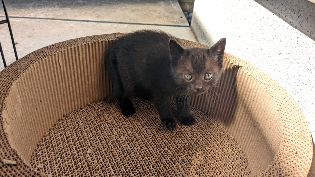 c2ba5d1263d7d336415f0db11626986d