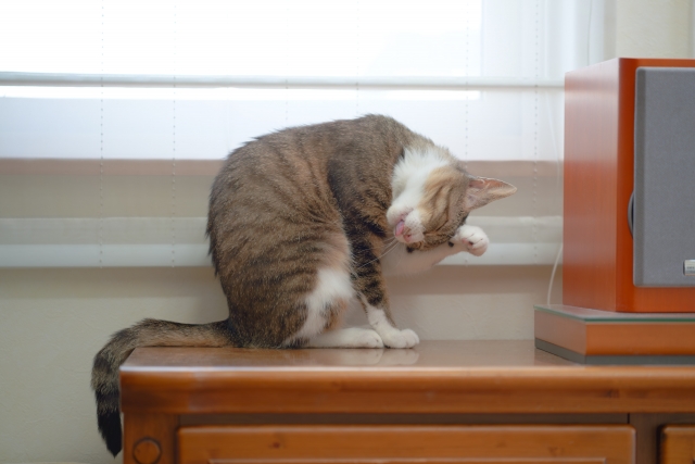 c163d3cd78f5a455e9a28a752bd14903