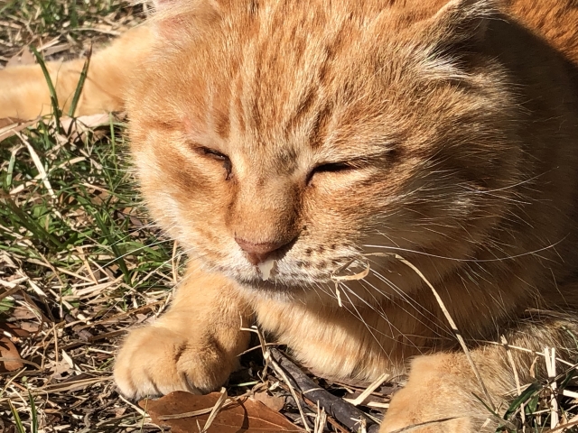 b81b81fc810e2c97b1d8542759a2c3c7