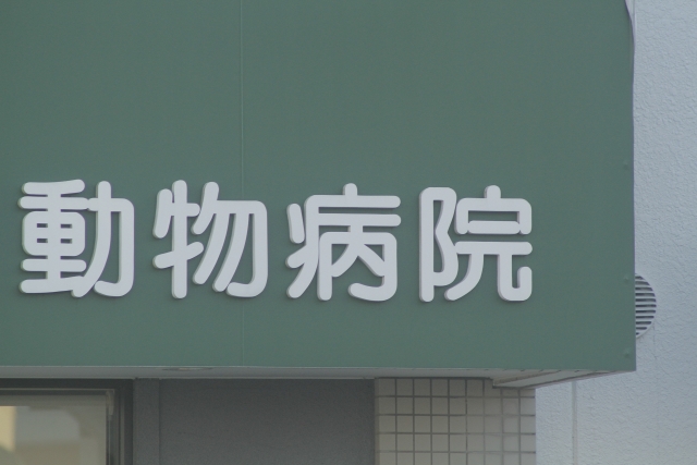 366617e60c16ff96dcadc470293fb8f5