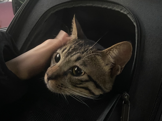 5e510bb0450ef0814c7ee68e13d21e52