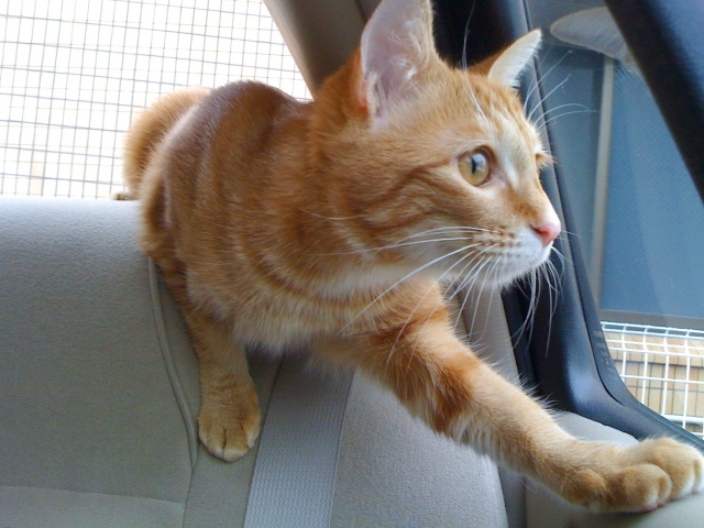 262c59d566b7ce1d8219a1da69345935