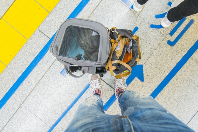 2f6e72e61125b0608842d553883b05dd