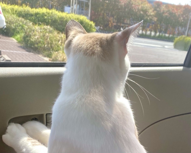 9428e4f27fc6af2634d46d2882b7d51c