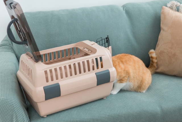 d5015b62190045697f1f720caac7ad70