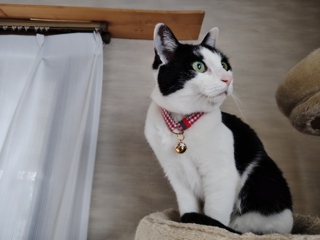 12df22ce6c7edfada185cc8bb907b4ba