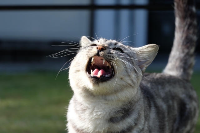 75b55f839de44b4090abf28be7a5d152