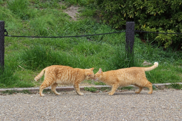 551a2b91e13682a6b9455b40881ea3fc