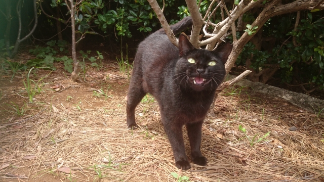 34c978b59eb0533fa64a77b63a6e21e5