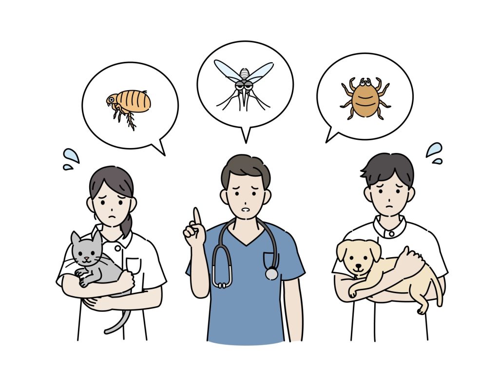 フィラリア症は犬だけの病気じゃない!猫のフィラリア症の基礎知識【獣医師解説】 6 72012011264191246c053c065697ff01