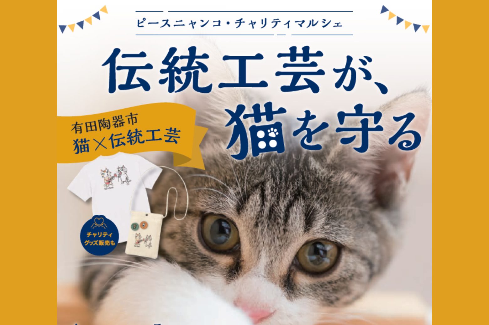 保護猫の命を救い、新しい家族へ繋ぐ｜ボランティアの皆さんを支援する