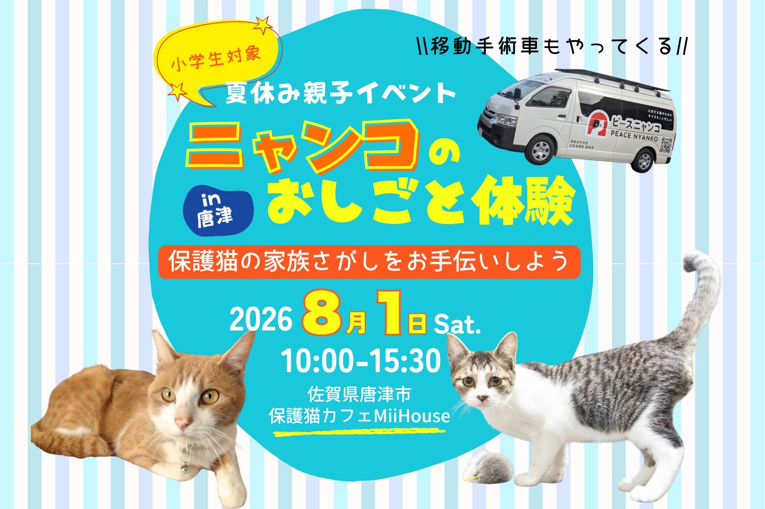 親子で参加！ニャンコのおしごと体験 in 唐津 - ピースニャンコ