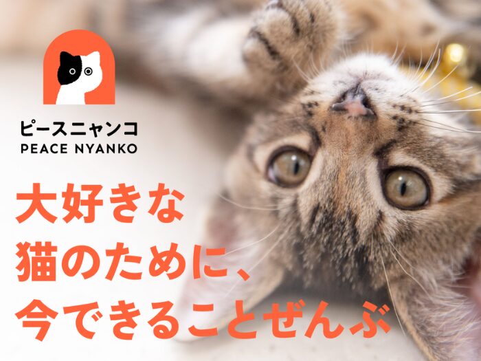 読み終わった本などを送って、保護猫支援！ - ピースニャンコ