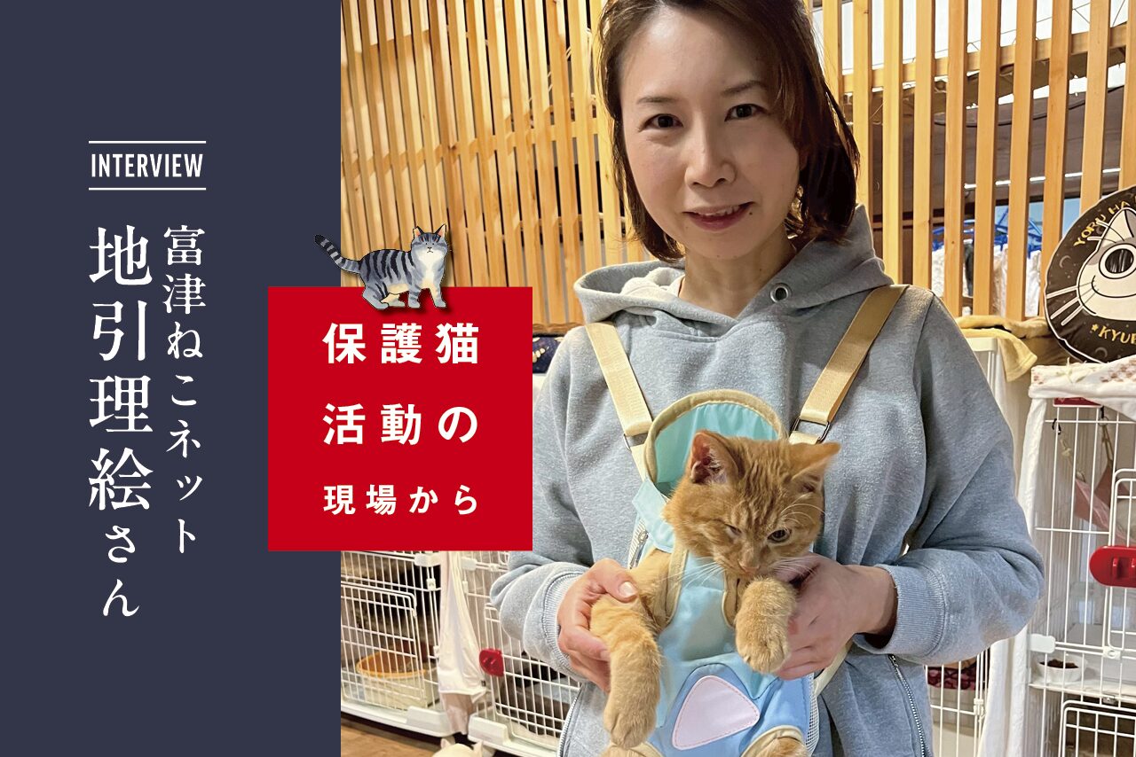 保護猫の命を救い、新しい家族へ繋ぐ｜ボランティアの皆さんを支援する