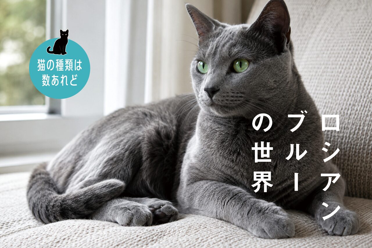 banner-1.jpg